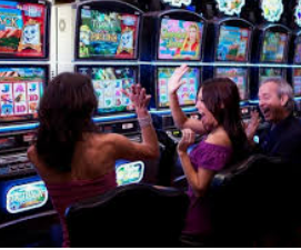 壹元娱乐官方网站2024最新版