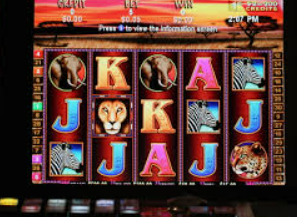 壹元娱乐官方网站2024最新版